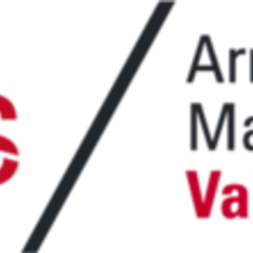 AAMVS logo